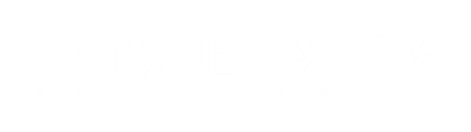 Vettoriali Logo 1_Negativo Bianco