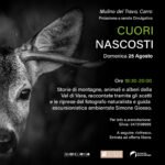 Cuori nascosti
