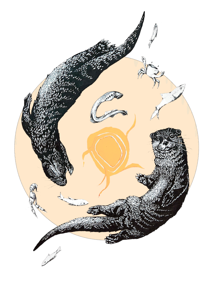 Lontre trasparente con cerchio1