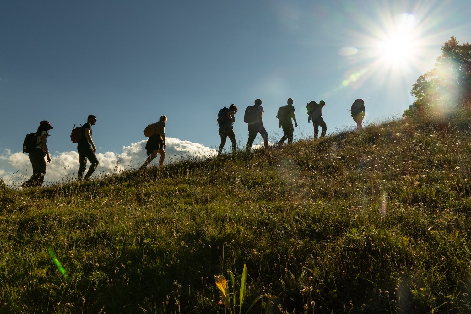 Scopri di più sull'articolo Dispersal: In cammino alla scoperta del lupo, tra natura, scienza e storie di coesistenza – dal 16 al 19 luglio 2026