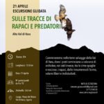 Escursione porcile verruga