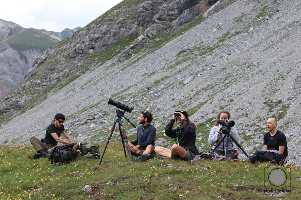 IMG 20240729 WA0075 1