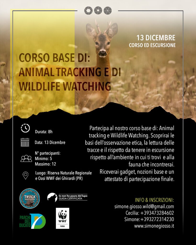 Uscita 13 Dicembre Simone Cecilia 1