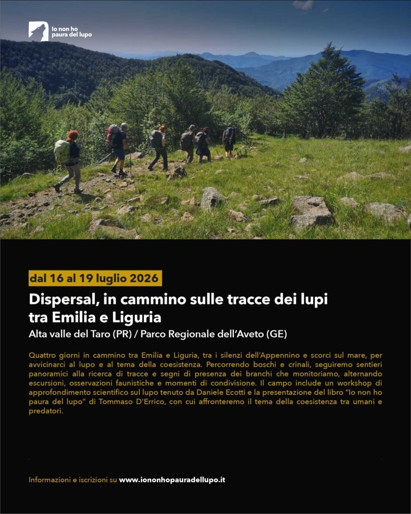 Tavola disegno 6eventi